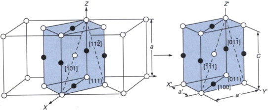 3-s2.0-B9780125249959500337-f09-05-9780125249959.jpg