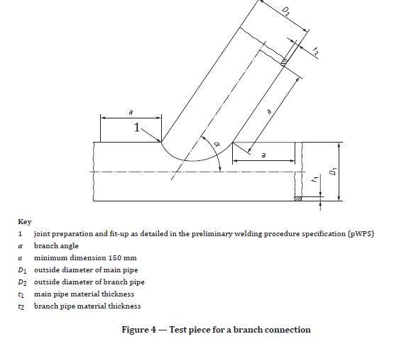 branch connection (Figure 4).JPG